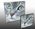 Canvas Prints